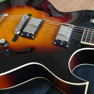 フルアコースティック・ギター LOAR