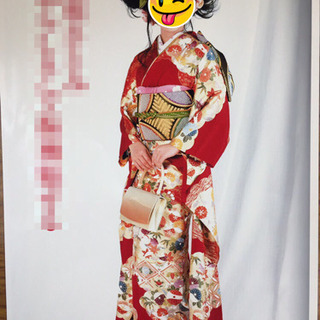 雲取り文様 本振袖 仕立て上がり 正絹長襦袢付き 新品 着物