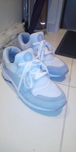 美品 NIKE エアーハラチ