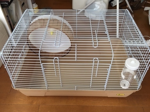 ハリネズミ飼育セット