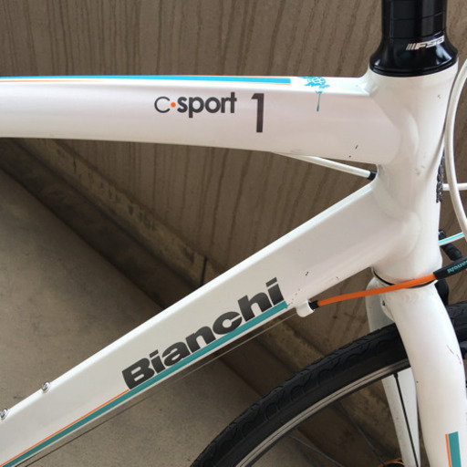 ❗️カスタム ビアンキ❗️「Bianchi」カメ1