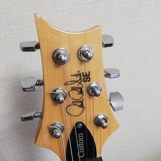 値下げ】PRS SE Custom 24 | gofactoring.cl