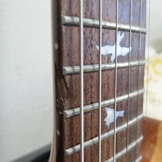 値下げ】PRS SE Custom 24