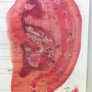 3月4月☆心身の健康にに耳つぼ・大阪教室