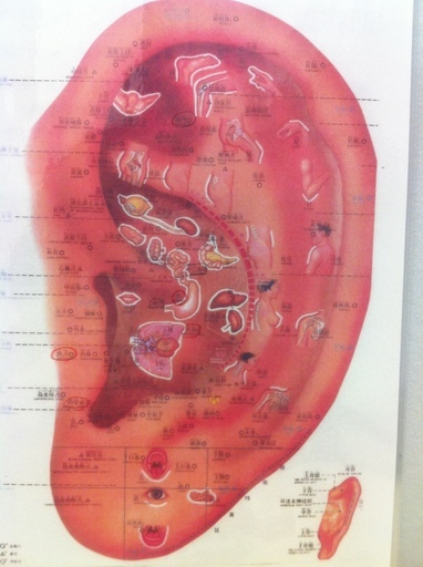 話題沸騰中 心身の健康に耳つぼ 千葉教室 Jeta 千葉の美容健康の生徒募集 教室 スクールの広告掲示板 ジモティー