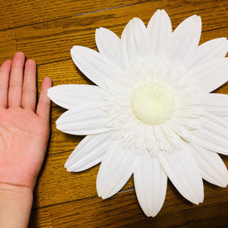 Francfrancのウォールデコレーション