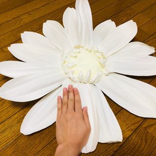 Francfrancのウォールデコレーション