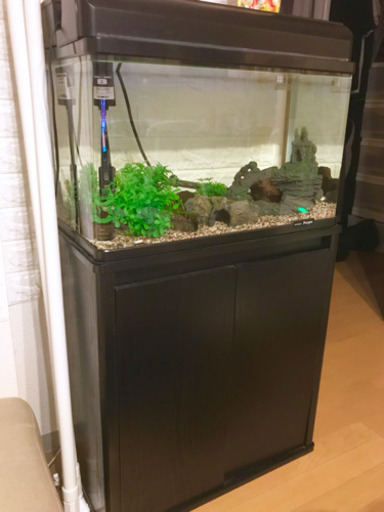 kotobuki 60㎝水槽セット 水槽台付き