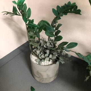 ①観葉植物 フェイクグリーン