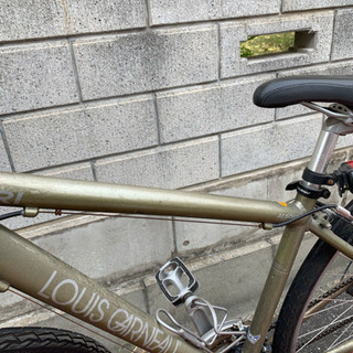 自転車 マウンテンバイク ルイガノ