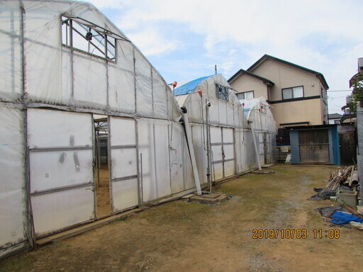 ビニールハウス　農業用　ストロングハウス