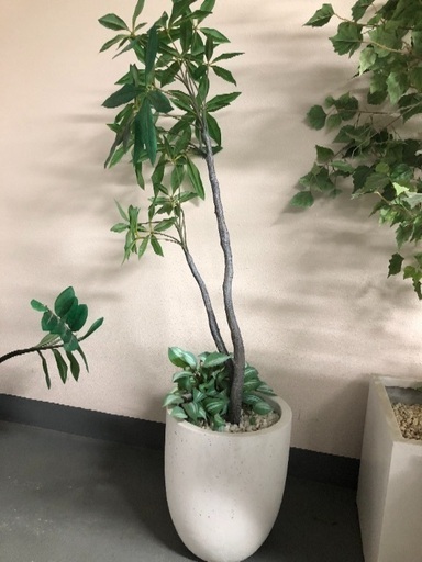 観葉植物 フェイクグリーン 6個