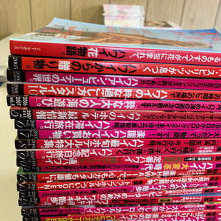 大人のハワイ  31冊