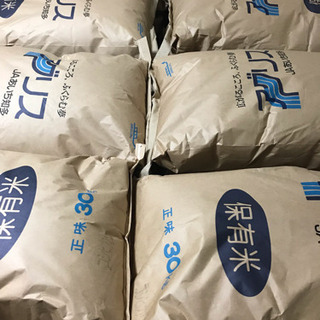 愛知  南知多産  新米  コシヒカリ玄米30kg