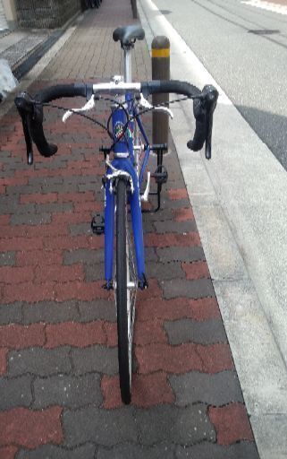 お値段＆画像刷新 FONDRIEST MEGALU Lampreモデル カーボンフォーク