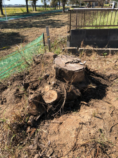切り株を処理してください チャッピー つくばの手伝って 助けての助け合い ジモティー