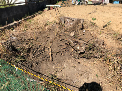 切り株を処理してください チャッピー つくばの手伝って 助けての助け合い ジモティー