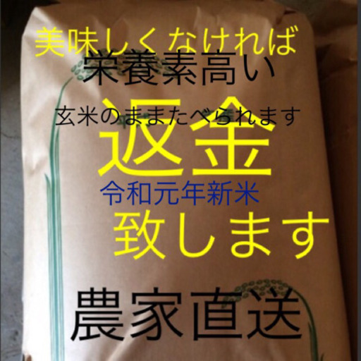 昔ながらの純新米こしひかり30㎏ 愛媛産