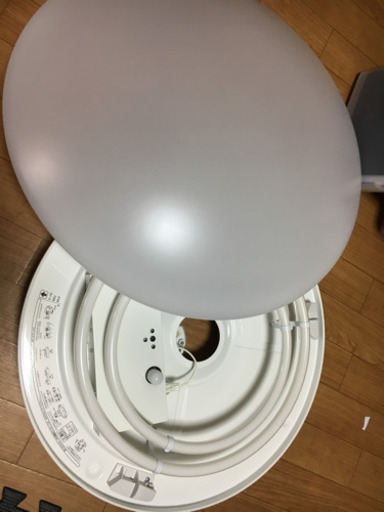 コイズミ、電灯