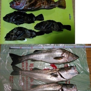 ３人乗りゴムボート