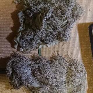 サバゲー】ギリースーツ入門セット(VSR-10 Gスペック & ギリースーツ二