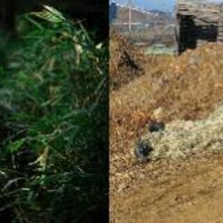 サバゲー】ギリースーツ入門セット(VSR-10 Gスペック & ギリースーツ二