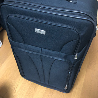 大きめ布地のスーツケース