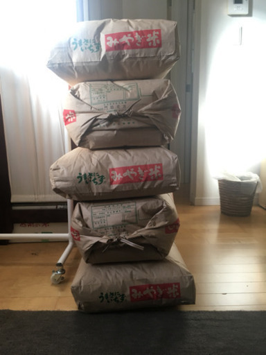 平成30年産 玄米 30kg 1袋のみです