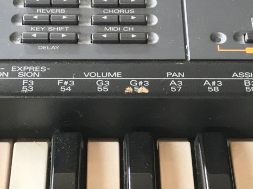 Roland SK88Pro