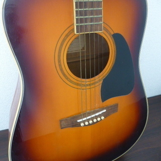 FINA アコースティックギター FAW-700TS