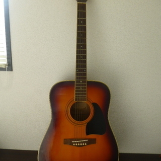 FINA アコースティックギター FAW-700TS