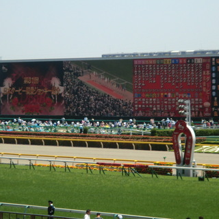 ☆今日東京競馬場(府中)に行く方居ますか☆