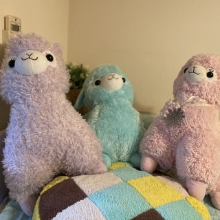 【BIGぬいぐるみ】＊Alpacasso＊ブルー