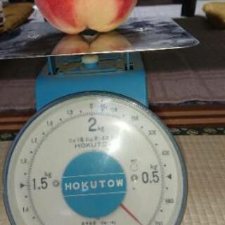 【終了しました】超大玉！桃1kg300円より《特別栽培》福島市