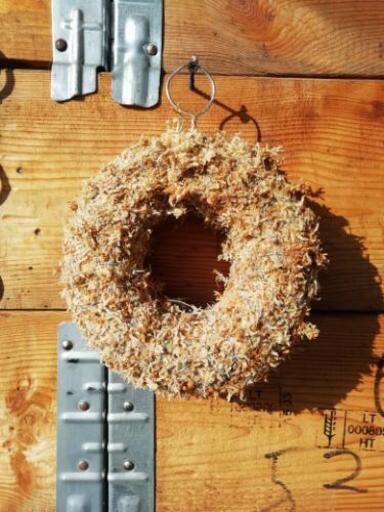 手作り 多肉植物リース 玄関先やインテリア用にいかがですか ぎや 藤岡のその他の中古あげます 譲ります ジモティーで不用品の処分