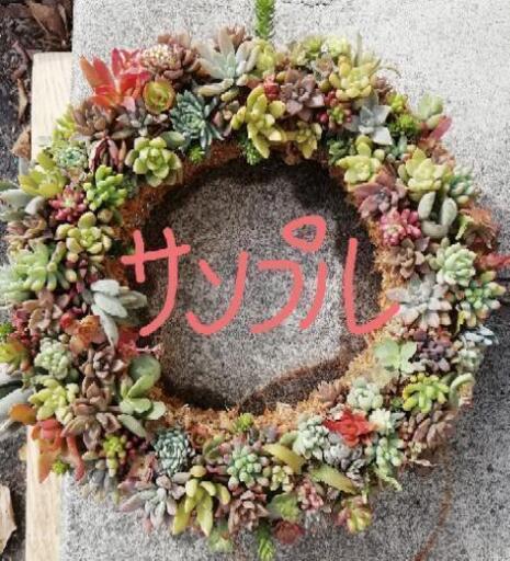 手作り 多肉植物リース 玄関先やインテリア用にいかがですか ぎや 藤岡のその他の中古あげます 譲ります ジモティーで不用品の処分
