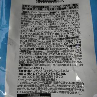 募集中】ロイヤルカナン マキシ スターター30kg