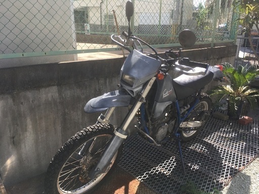 DR250S SUZUKI オフロード