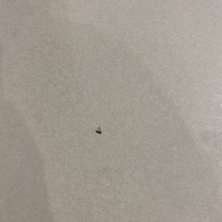 美品　高級カウンターテーブル（used）