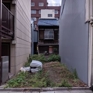 【内容に変更あります】更地の草刈り、除草剤散布、草の処分、マット...