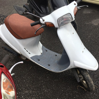 実働★小さい原付！PAL 格安原付 スクーター 50cc