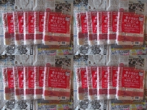 春日市指定 燃えるごみの袋 （家庭用・大・45L） 10枚入り × 20袋