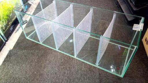 60cm水槽  取外可能仕切りあり 【良品】
