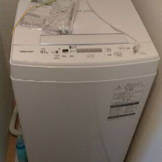 2019年製 東芝AW-45M7 洗濯容量4.5kg 洗濯槽ステンレス