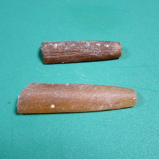 べレムナイト=イカ類（烏賊類）の部分化石2個
