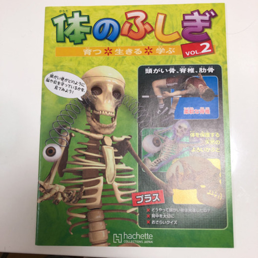 体のふしぎ アーサー 人体模型 | ega.org.eg