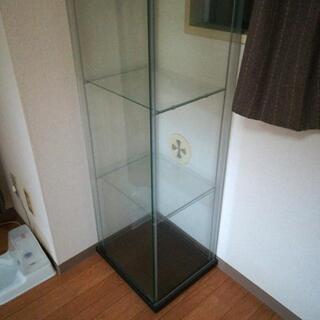 ショーケースの中古が安い！激安で譲ります・無料であげます(304ページ  