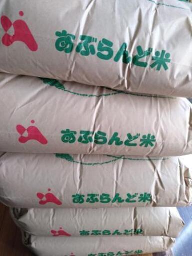 山口県産 萩市むつみ吉部の新米コシヒカリ３０ｋｇ