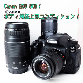 売り切れました】LUMIX GM5 グリーン メーカー整備済み