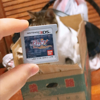 3DS アイカツ 2人のmyプリンセス